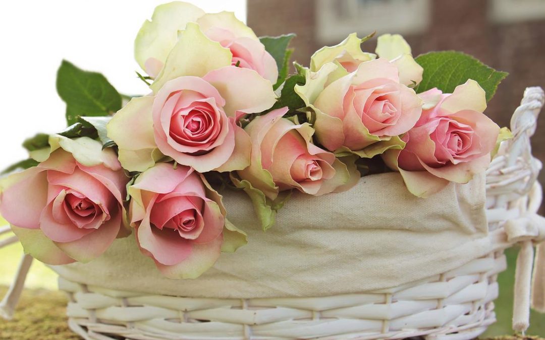 Life Is Like A Basket of Roses…